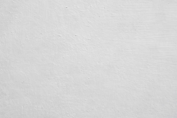 Best Mold Remediation for Rental Properties  in USA
